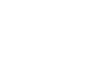 Ensures Accountability Develops Talent Values Differences Drives Engagement Organizational Savvy Courage